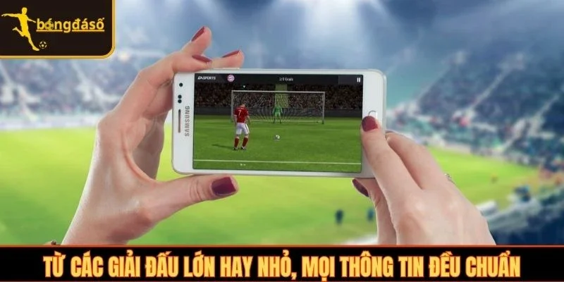 Từ các giải đấu lớn hay nhỏ, mọi thông tin đều chuẩn